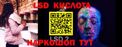 крисы Аргун