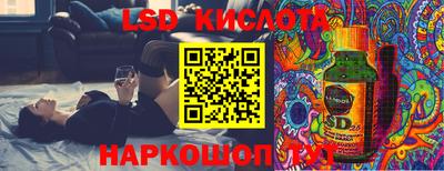 крисы Аргун