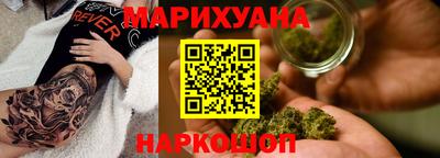 крисы Аргун