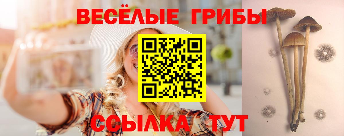 Галлюциногенные грибы Psilocybe  Вход с VPN  Верхняя Салда  Псилоцибиновые грибы прущие грибы 